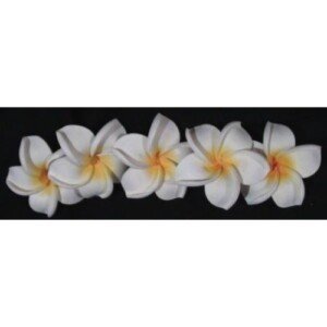 Artificial Frangipani