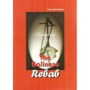 Learning the Balinese Rebab