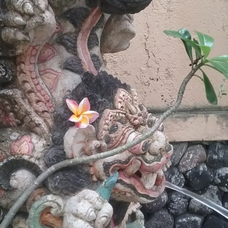 Water Features